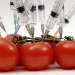 Кабинетът одобри 10 пъти по-ниски глоби за продажба на ГМО храни