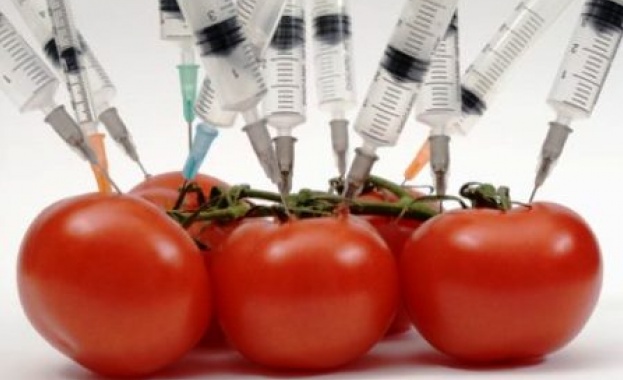 Кабинетът одобри 10 пъти по-ниски глоби за продажба на ГМО храни