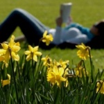 Щастието няма...