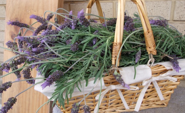 Еньовденски събор за втора поредна година на Старозагорските бани