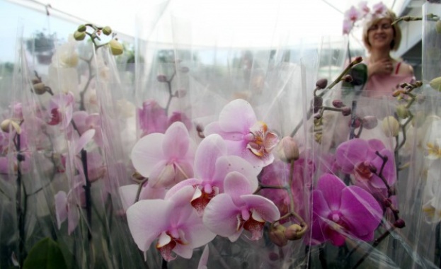 Рождениците днес 