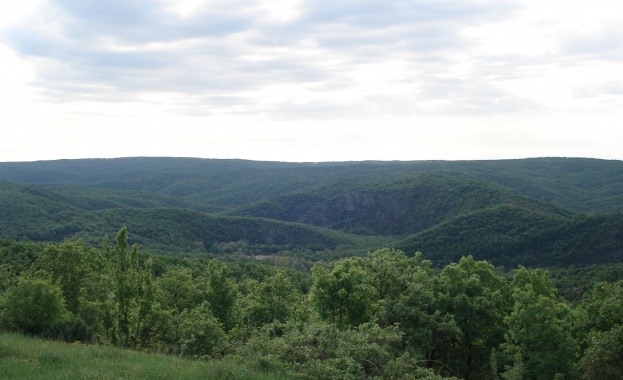 Книга на полска лекарка с корени от Чепеларе води туристи в Родопите
