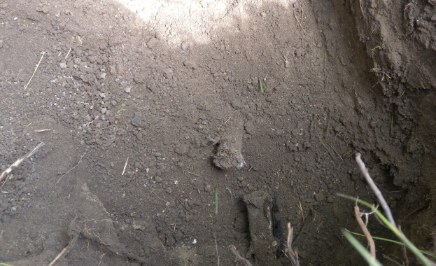 Четирима души са били затрупани Двама души загинаха в Перник