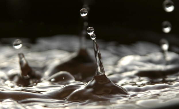 Предстоящи събития в страната за утре, 17 януари