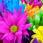 Рождениците днес..