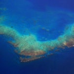 Забраниха сламките край Големия бариерен риф