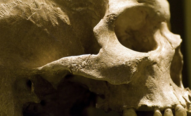 Откриха скелети на гигантски хора край Бургас