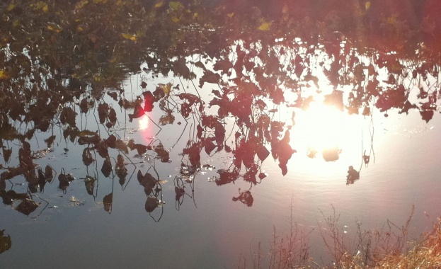 Тази зима е била най топлата в историята на САЩ предаде