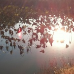 Тази зима е била най-топлата в историята на САЩ