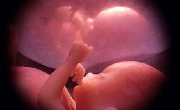 Съзнанието е състояние на психичния живот на организма когато той