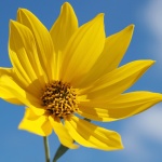 Предстоящи събития в страната за утре, 6 август