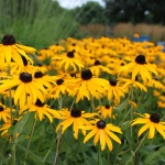 Предстоящи събития в страната за утре, 17 юли  