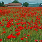 Събитията днес