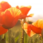 Събитията днес