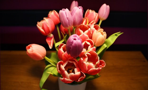 Днес рожден ден имат...