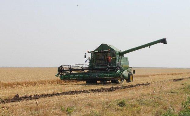 Дъждовете отложиха жътвата на ечемика