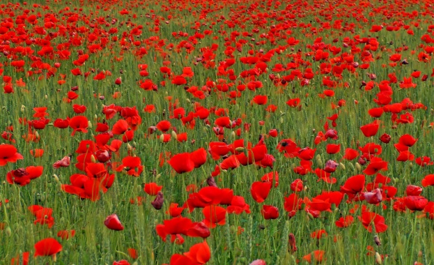 Температурите продължават да се повишават