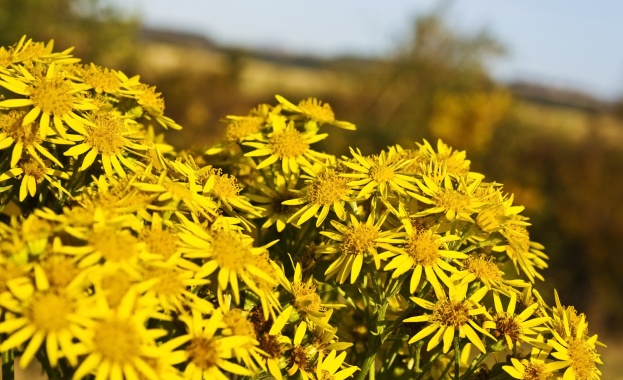 Предстоящи събития в страната за утре, 20 август 