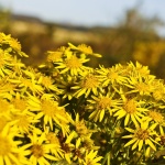 Събитията днес