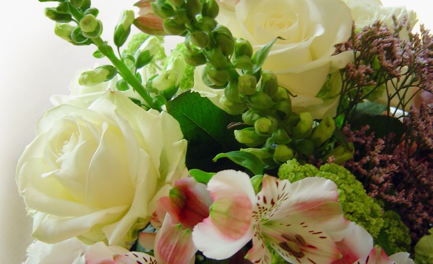 Рождениците днес