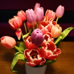 Днес рожден ден имат...