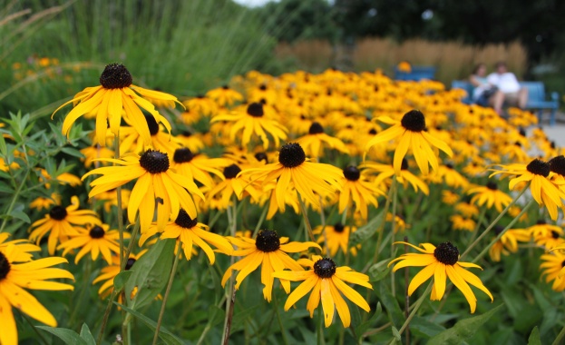 Предстоящи събития в страната за утре, 17 юли  