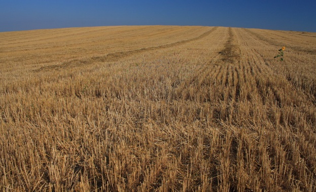 Земеделските кооператори сигнализираха премиера за риск от спиране на Програма за развитие на селските райони 