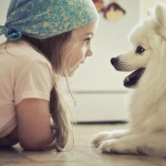 Проучване: Кучетата разбират какво им говорим