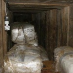 Загубената война – срещу дрогата 