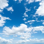 Животът не е...