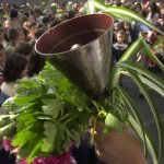 Опората на България 