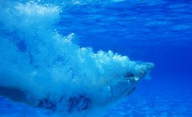 Плуването вдига настроението