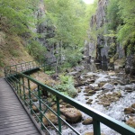 В крайна сметка има само една раса: човечество