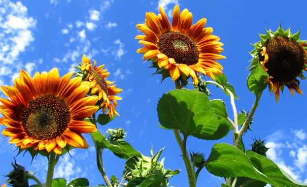 Отчетоха 33% ръст на интереса на руските туристи към България