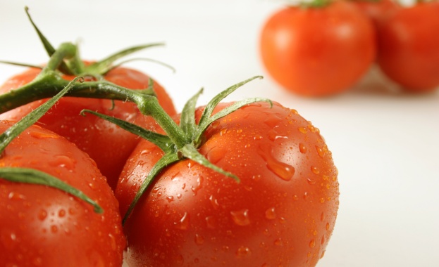 99 % от храните са ГМО!