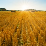 Предстоящи събития в страната за 26 юни