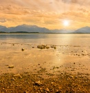 В живота получаваш това, което...