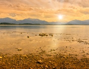 В живота получаваш това, което...