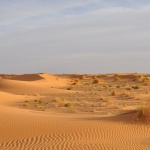 Без кърпи, палатки и каравани върху дюните