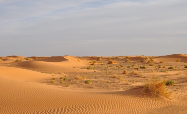 За унищожени над 800 метра дюни и умишлено изместване на