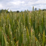 Престрелката“ за парите за земеделие не спира