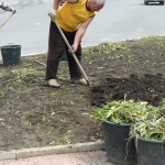 "Ди Цайт": В България работят до припадък, а едва преживяват с цени за храна по-високи от германските