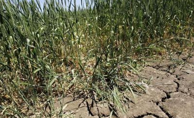 Европейската централна банка ЕЦБ предупреди за големите икономически рискове пред