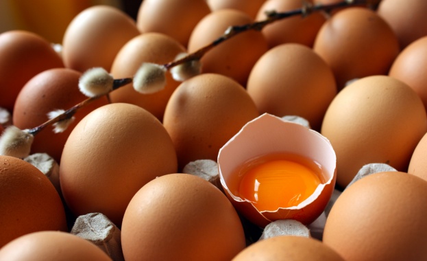 20 тона заразени с фипронил яйца са засечени в Дания