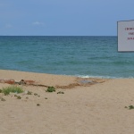 Незаконни строежи се появиха на плаж „Кабакум” край Варна