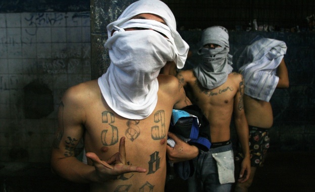Специална полиция ще се бори с картелите в Мексико 