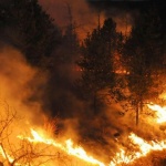 Най-малко двама души са загинали при горски пожари в бразилския щат Сао Пауло