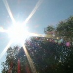 Предстоящи събития в страната 