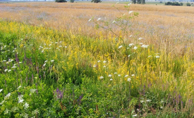 Правото на земя - между патриотизма и правилата в ЕС