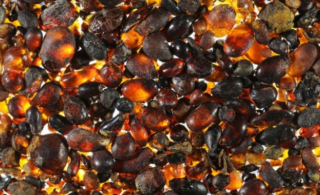 Кехлибар е уловил въздушни мехурчета на 20 милиона години които